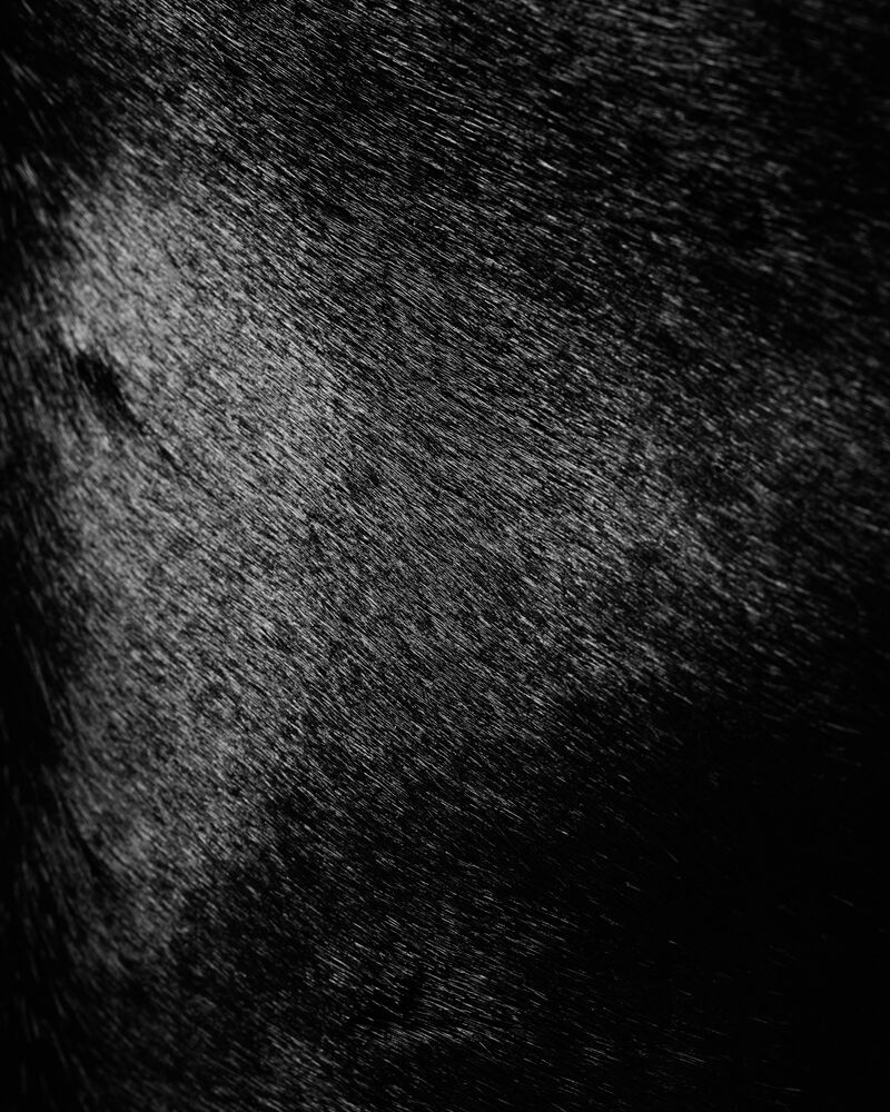 MOMBASA大号马毛效果皮革手袋