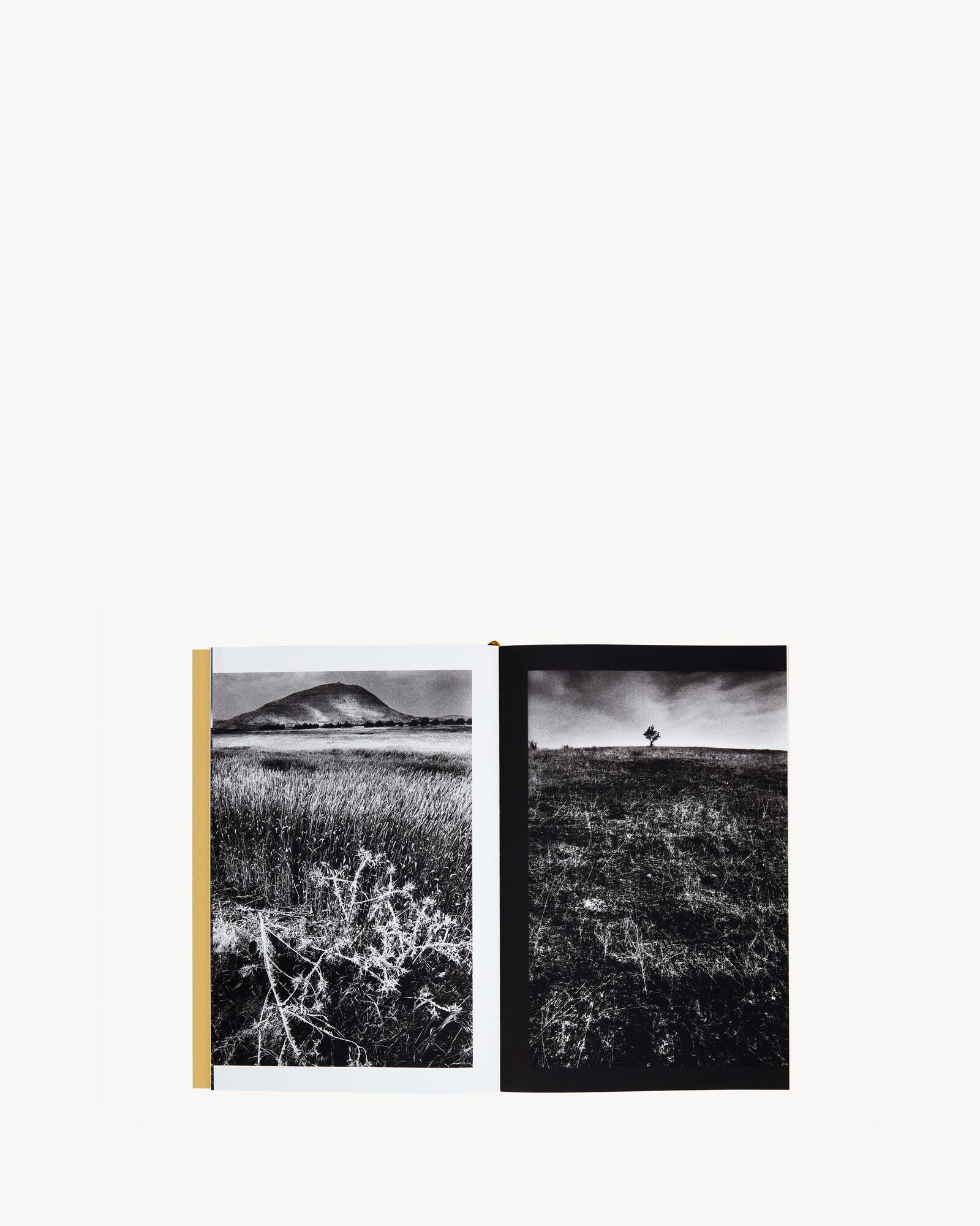 SL EDITIONS:《Jeanloup Sieff》